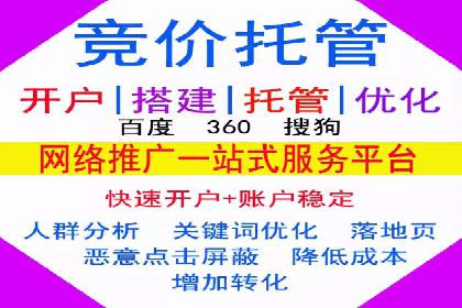 案例分析：SEM广告助力电商行业突破